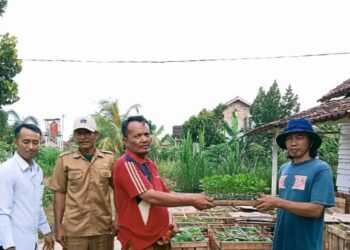 Tingkatkan Ekonomi Masyarakat ! Tiyuh Indraloka Jaya Bagikan bibit ikan dan sayuran