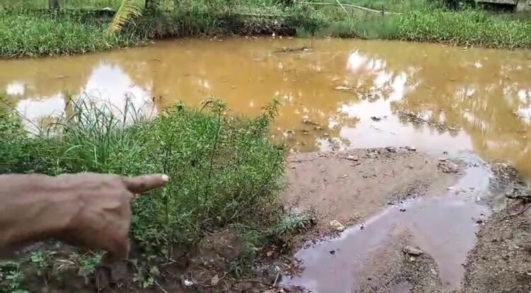 Limbah PT BSSW DLH Lampung Temukan Ketidaksesuaian SOP Lingkungan Nihil Pencemaran Masyarakat Tidak Dilibatkan