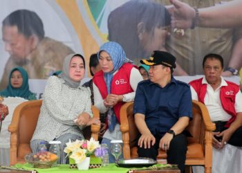 Sampaikan Salam dari Gubernur, Riana Sari Arinal Serahkan Bansos di Gading Rejo Pringsewu