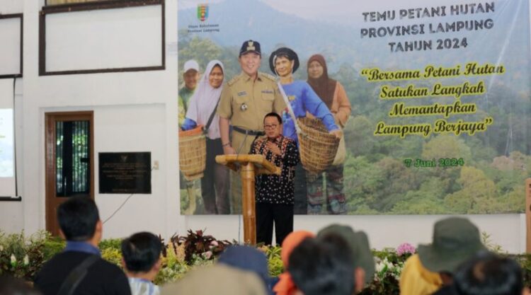 Hadiri Pembinaan Kelompok Tani Hutan Menuju Masyarakat Lampung Berjaya 3 Instruksi Penting Gubernur Arinal