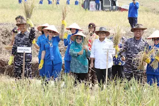 Mentan, Wakasal Bersama Pj. Gubernur Lampung Panen Raya Padi dan Jagung di Pesawaran