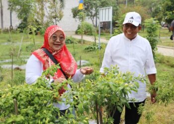 Pj. Gubernur Samsudin Ajak Masyarakat Ramaikan Wisata Edukasi Kebun PKK Agropark Sabah Balau