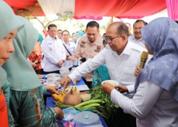 Pj. Gubernur Samsudin Tinjau Pasar Tradisional dan UMKM, Posyandu serta Beri Bantuan Sosial ke Masyarakat TUBABA