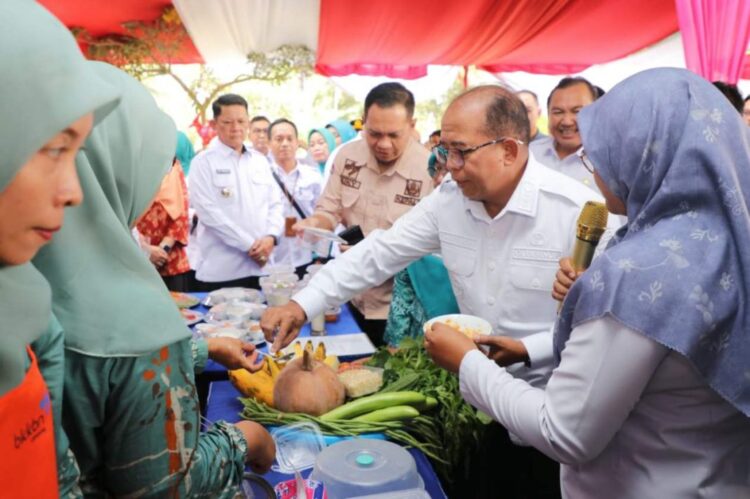 Pj. Gubernur Samsudin Tinjau Pasar Tradisional dan UMKM, Posyandu serta Beri Bantuan Sosial ke Masyarakat TUBABA
