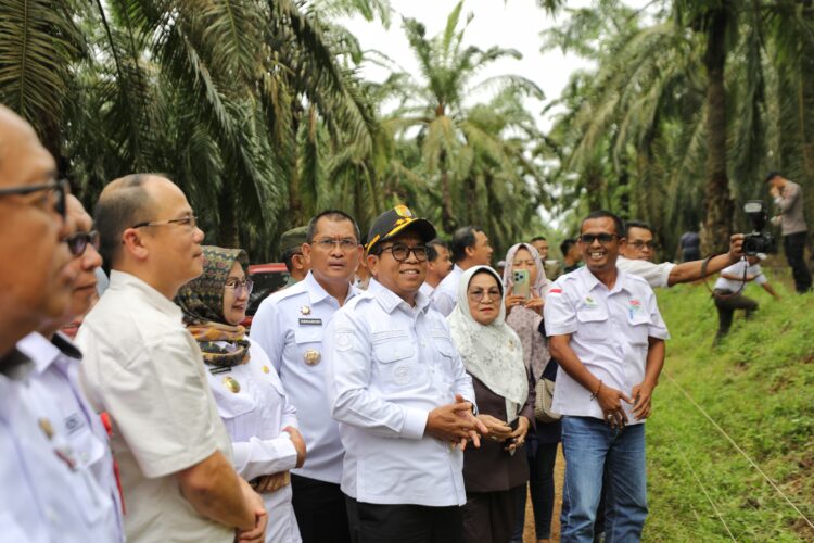 Pj. Gubernur Lampung Kunjungi Usaha Peternakan Sapi Potong Hasil Integrasi Perkebunan Sawit dengan Perusahaan Peternakan