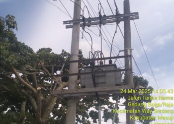 Ada Oknum Pasang Trafo Listrik di Kawasan Terlarang Register 45 Mesuji ?