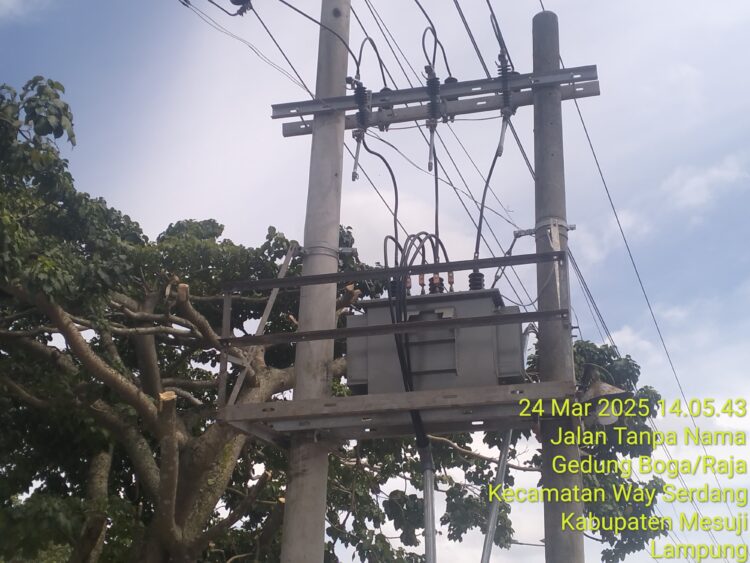Ada Oknum Pasang Trafo Listrik di Kawasan Terlarang Register 45 Mesuji ?
