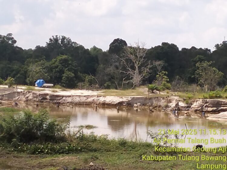 Akibat Eksploitasi Tambang Pasir,Jembatan Talang Buah Terancam Ambrol