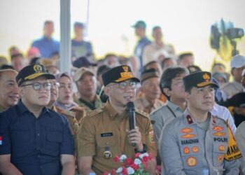 Provinsi Lampung Proyeksi Lonjakan Produksi Padi Tembus 3.5 Juta Ton Tahun 2025