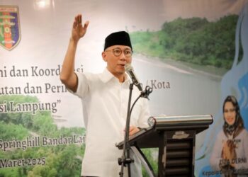 Gubernur Mirza Buka Peluang Kerja Sama Internasional Melalui Program Sister City yang Berorientasi Lingkungan