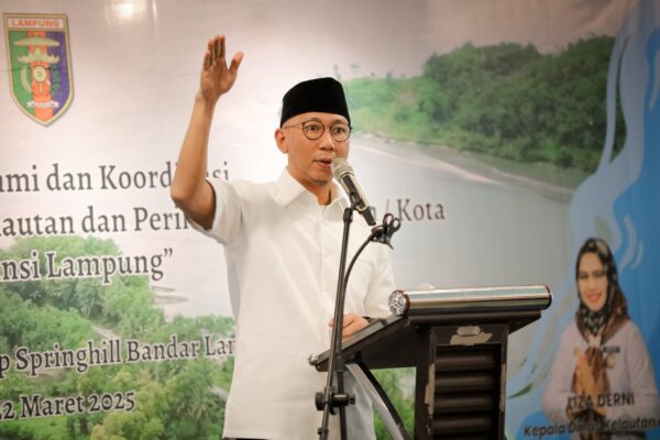 Gubernur Mirza Buka Peluang Kerja Sama Internasional Melalui Program Sister City yang Berorientasi Lingkungan