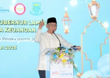 Gubernur Mirza Mengajak OJK dan Perbankan di Lampung Berkolaborasi