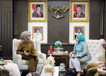 Wagub Jihan Terima Kunjungan Pengurus AKHI Lampung