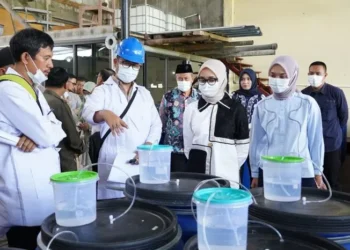 Gubernur Lampung Cukupi Kebutuhan Pupuk dan Beri Bantuan Dryer ke Petani