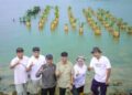 Gubernur Lampung Tanam 2000 Magrove dan Pasang Appostrap di Teluk Pandan