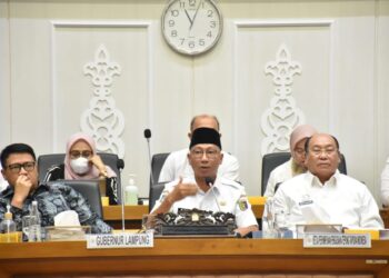 Gubernur Mirza Minta Singkong Ditetapkan Komoditas Strategis Nasional