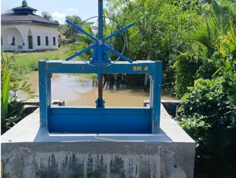 Kasatker SNVT PJPA PUPR Sebut Proyek Irigasi Rawa Jitu-Rawa Pitu Menunjang Ketahanan Swasembada Pangan