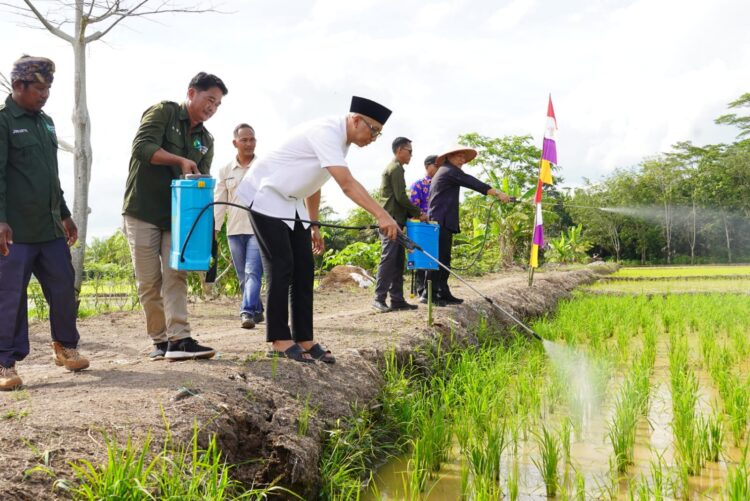 Gubernur Lampung Tinjau Pembuatan Pupuk Organik Cair, Dorong Kemandirian Petani