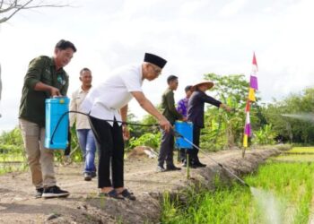 Gubernur Lampung Tinjau Pembuatan Pupuk Organik Cair, Dorong Kemandirian Petani