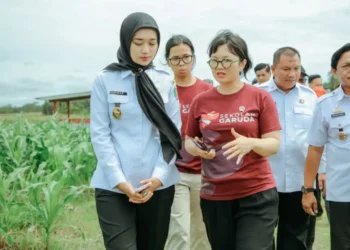 Pemerintah Pusat dan Daerah Bersinergi Siapkan SMA Unggul Garuda di Lampung Selatan