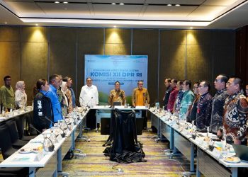 Menuju Pusat Energi Bersih Nasional, Lampung Perkuat Energi Terbarukan