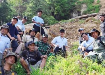 Longsor Gunung Rajabasa: Bupati Egi Naik 3 Km, Tanam Pohon Cegah Bencana Susulan